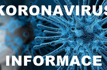 Koronavirus v Česku - jak se staví pojišťovny k tomu, že děti jsou doma?